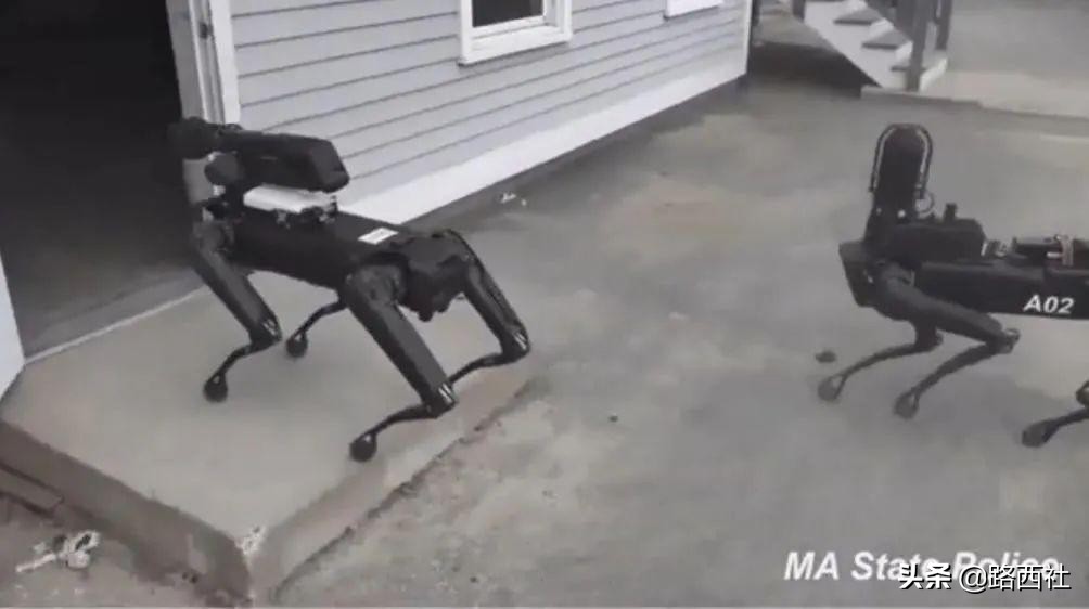 养狗嘛？53万、世界首富同款