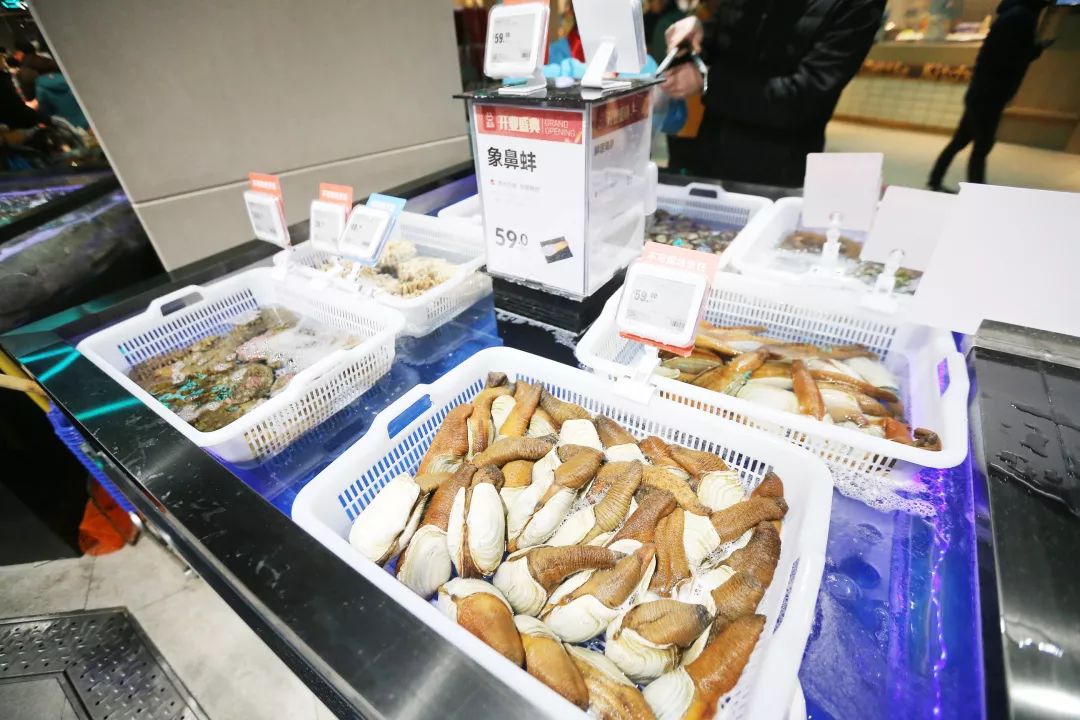 盒马第一家门店开业,盒马鲜生第一个店