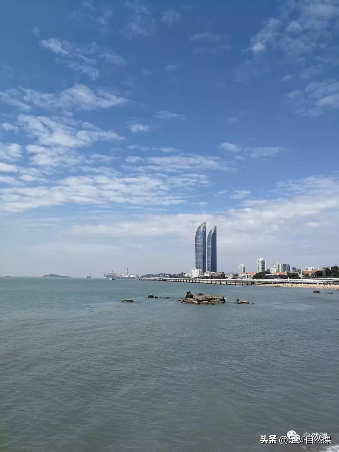 舌尖上的植物学线上课,舌尖上的植物学课程