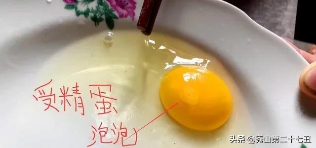 一万只土鸡卖柴鸡蛋年入百万,农村小伙养鸡一只鸡最贵卖1100元