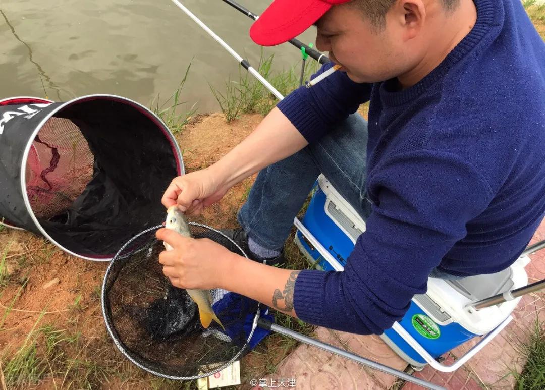 蓟州玩水垂钓农家院,蓟州区适合带孩子玩的农家院