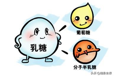 乳糖不耐受喝牛奶会立马拉肚子吗,一喝牛奶就拉肚子是乳糖不耐受吗