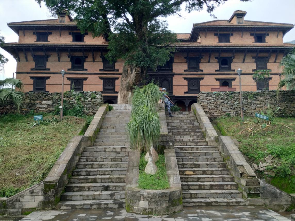 有多少达曼人入中国国籍,为什么让达曼人入中国籍