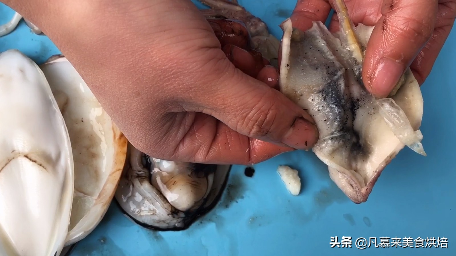 海兔八爪鱼墨鱼鱿鱼的区别,鱿鱼海兔八爪鱼三者之间区别