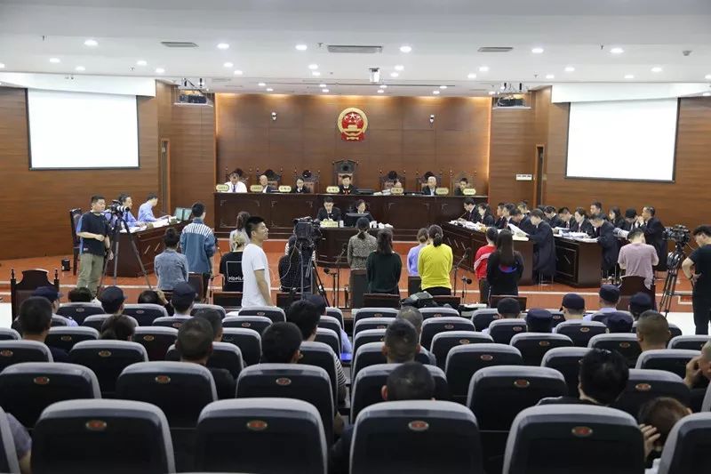 江苏一女子因迷恋减肥误入歧途：销售201万粒有毒*肥药减**获利228万，成本四五毛卖80元一粒！12人团伙被端