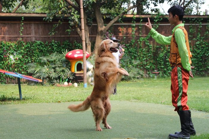 长隆飞鸟乐园湿地精灵,长隆飞鸟公园一日游攻略