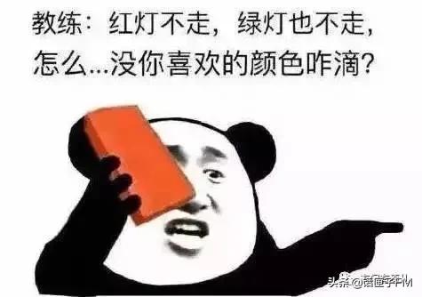 上海驾校教练发飙,上海驾校教练被骂