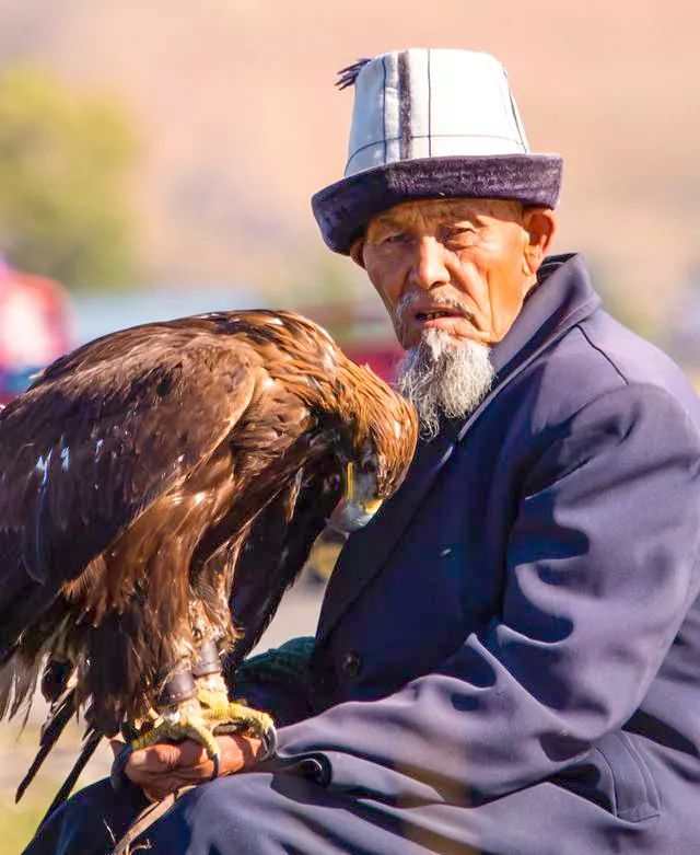 *疆新**阿合奇县：相守4000年的约定，委屈了自己，也不能饿着鹰
