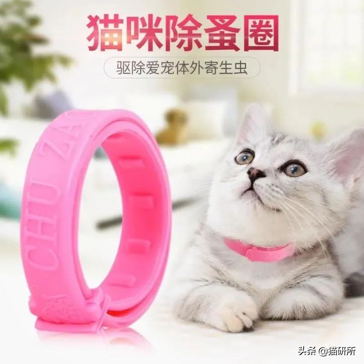 猫咪项圈对人有没有危害,猫咪项圈对猫咪有危害吗