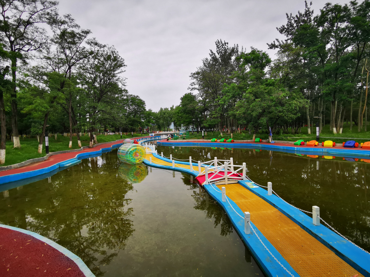 青龙湖湿地公园网红打卡,成都青龙湖公园攻略