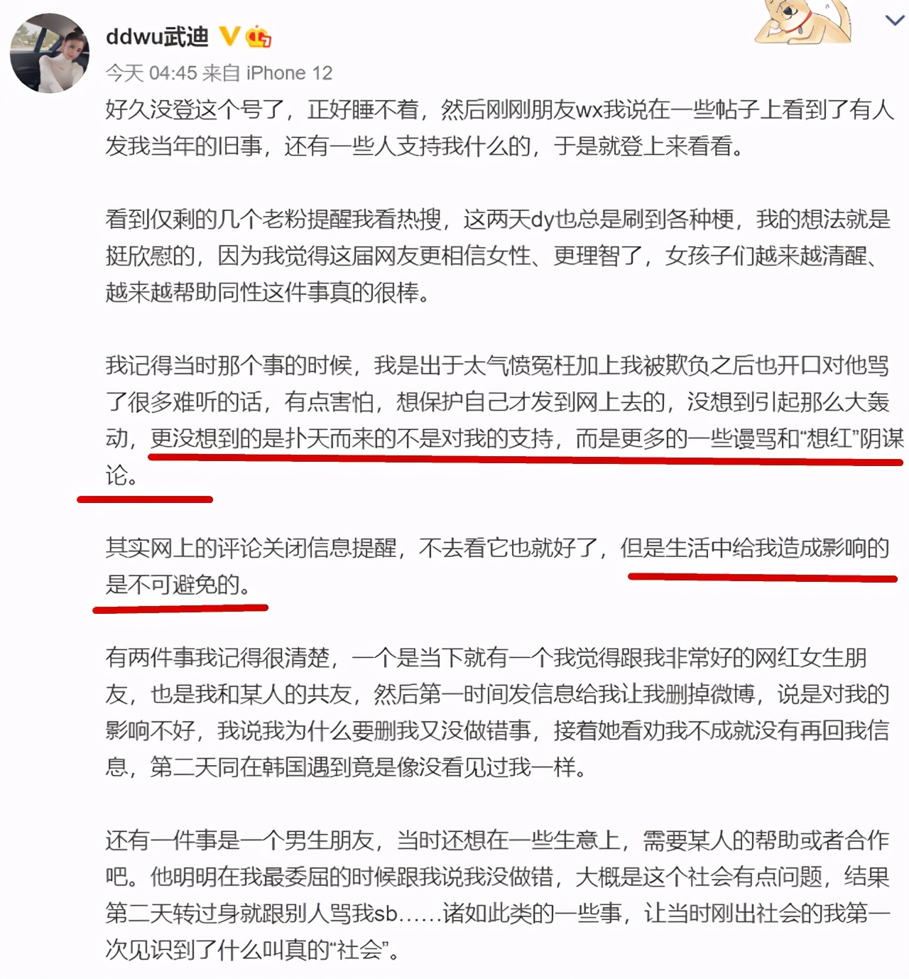 王思聪殴打女网红,王思聪殴打他人处理结果