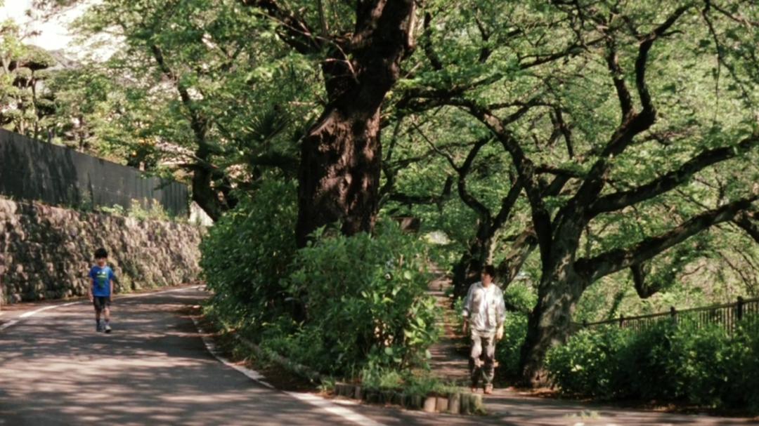 必须由爸爸来做的五件事,这几件事一定要让爸爸做