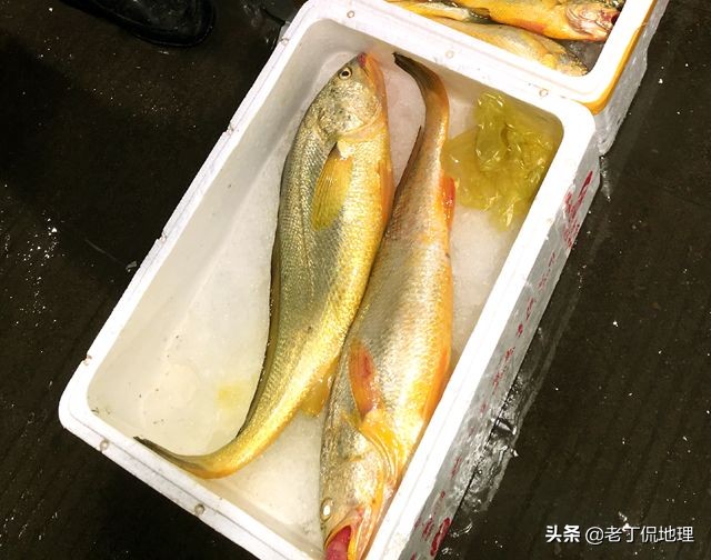 中国海鲜地图,中国海鲜最多地区