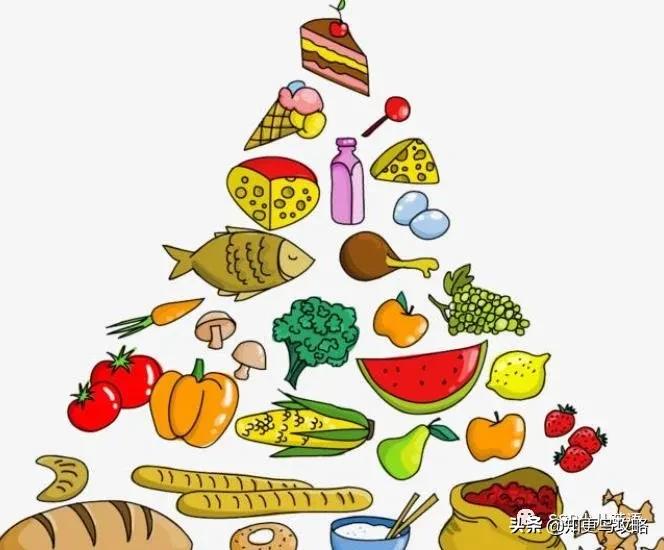 英语干货知识点小学,干货小学英语单词