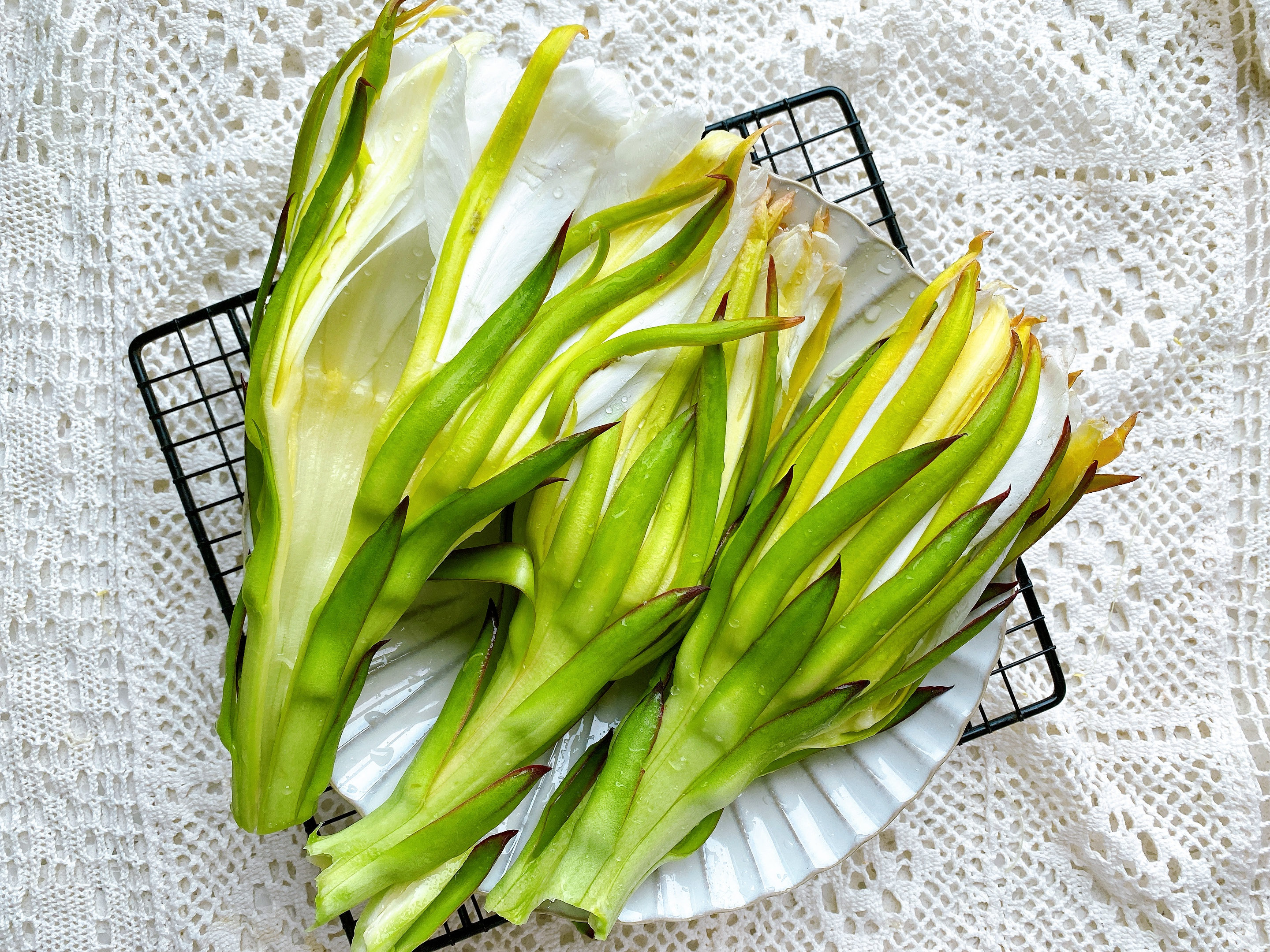 火龙果花还可以这样吃,火龙果的花正确吃法及做法