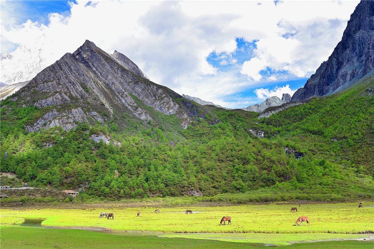 去一次西藏歌曲,圣洁甘孜之旅