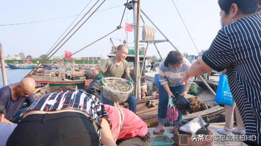 秦皇岛买海鲜去哪里,秦皇岛哪里买出海回来的海鲜