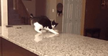 少林功夫搞笑视频老电影,少林功夫停车gif