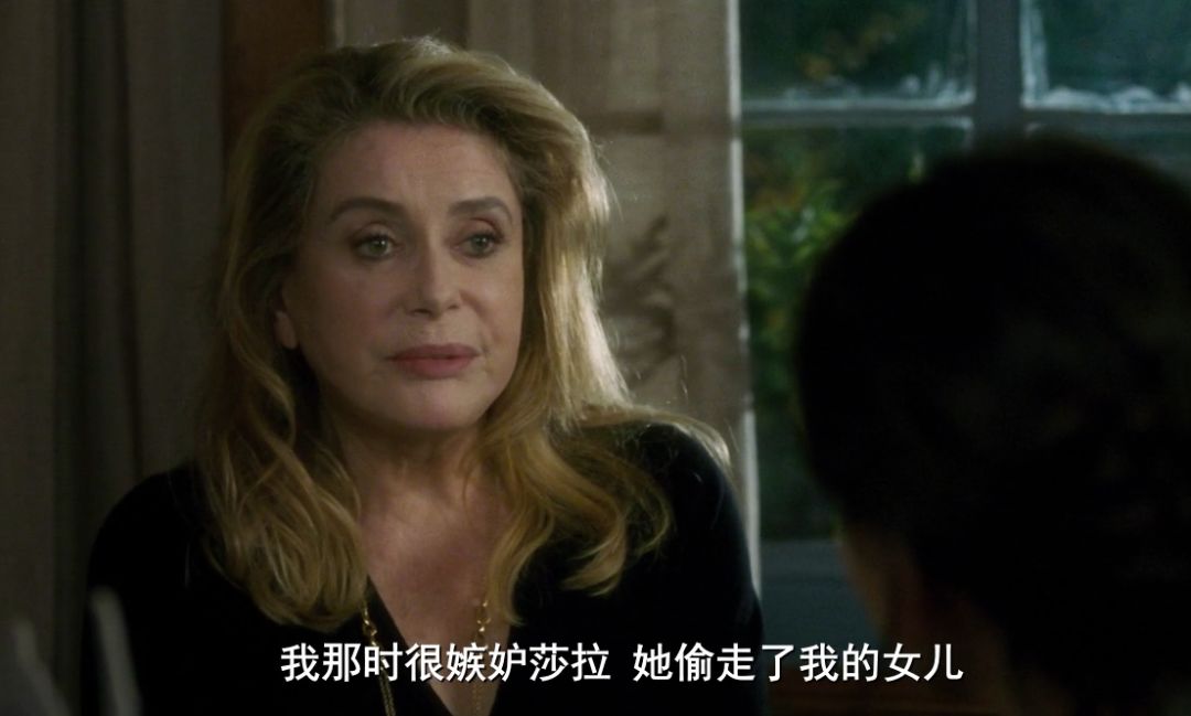 法国十大顶级女神,法国最美的女人超模