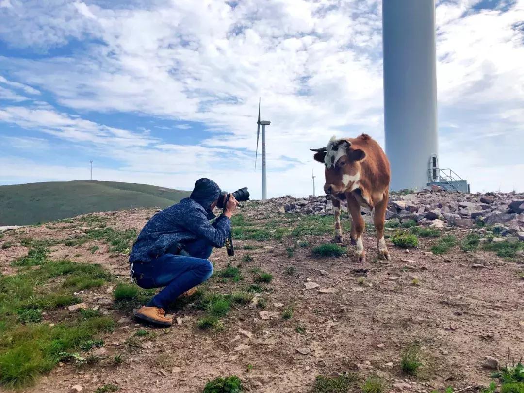 丰宁千松坝秋色,天凉好个秋拍摄