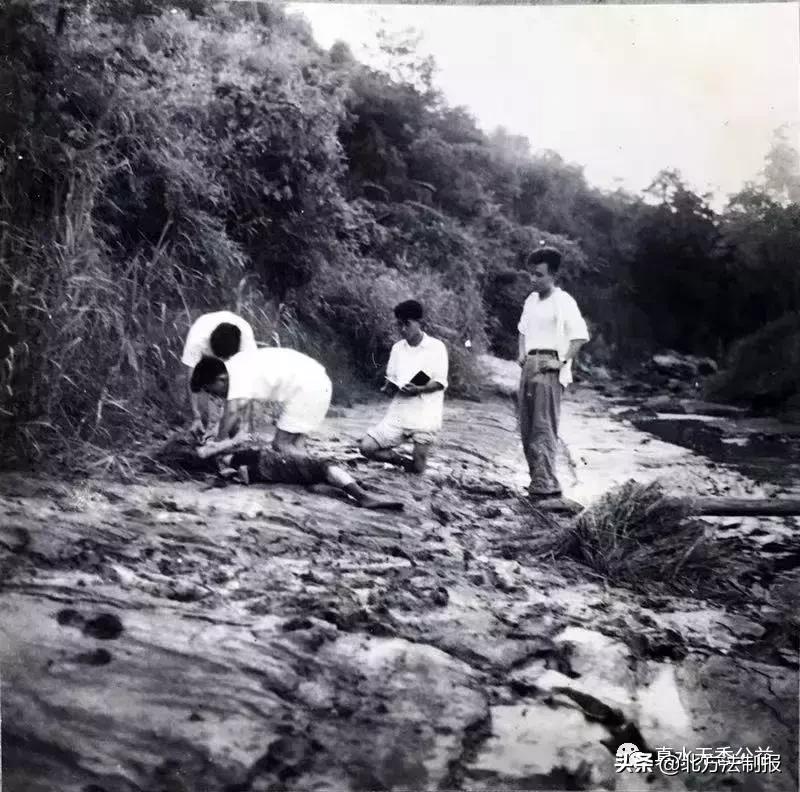 法医解剖女尸真实案例电视剧,女法医在殡仪馆解剖尸体
