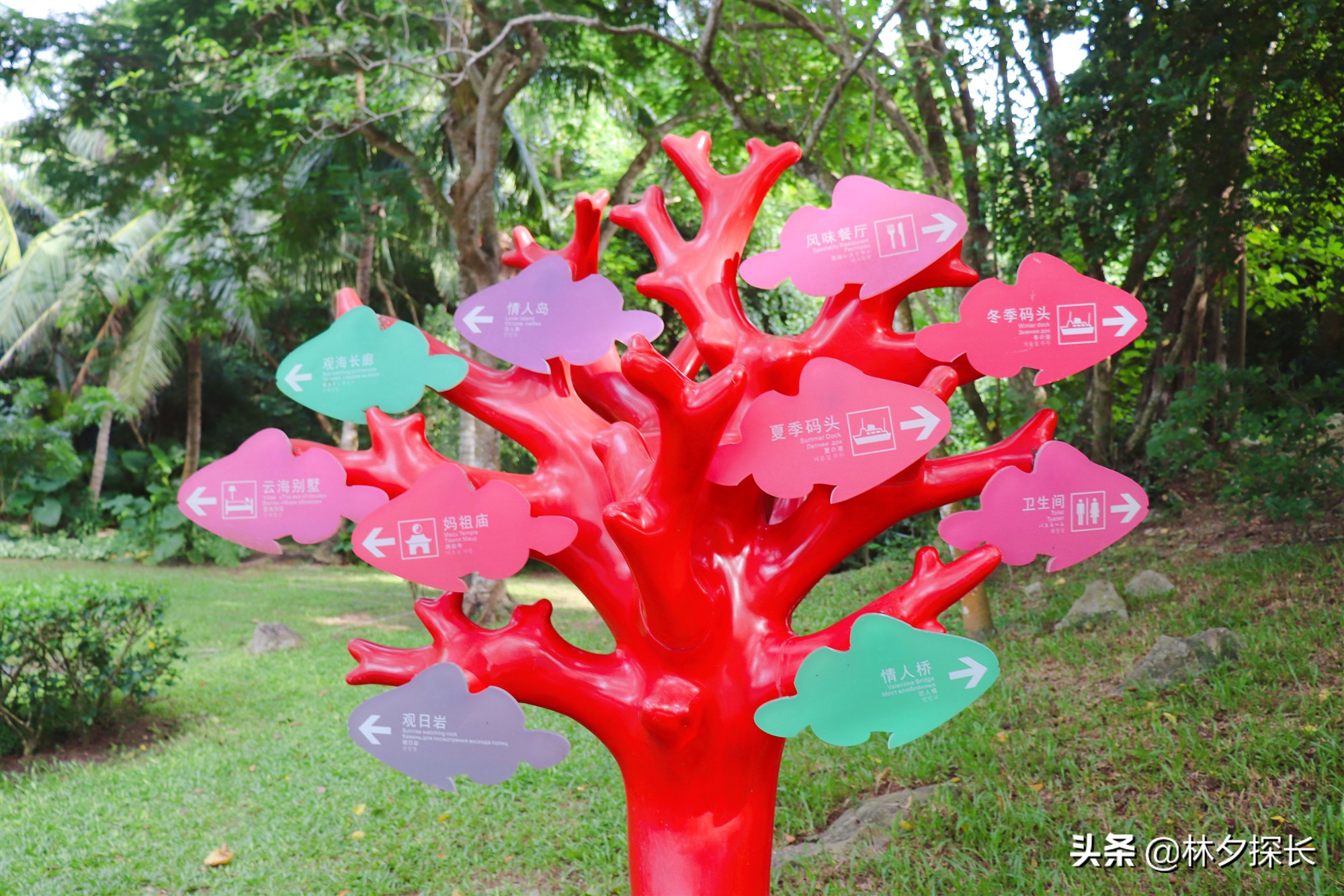 三亚蜈支洲岛潜水项目多少钱,三亚潜水岛有哪些