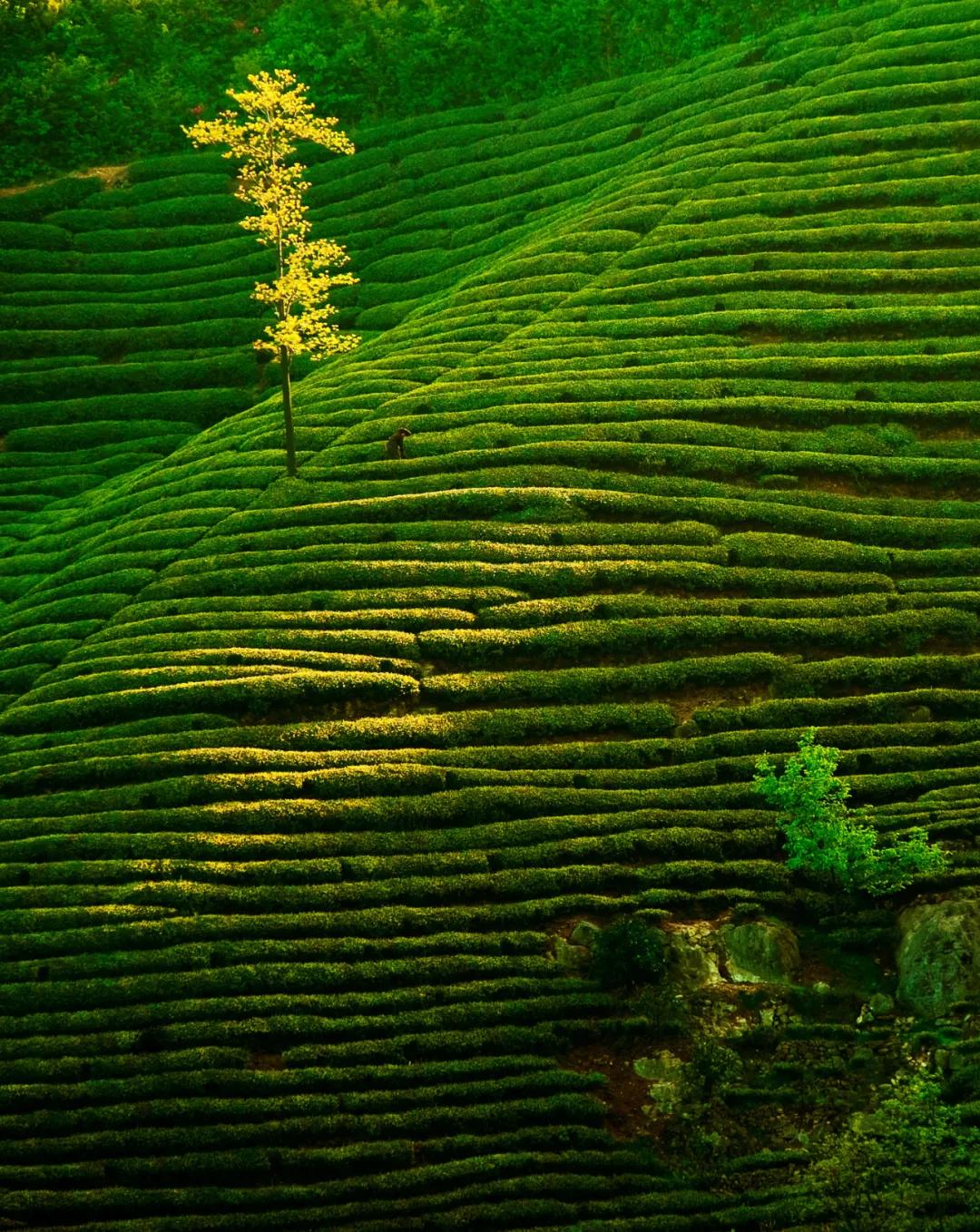 世界就在脚下,世界就在