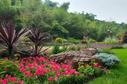 成都望江楼公园简介,成都望江楼公园要门票吗