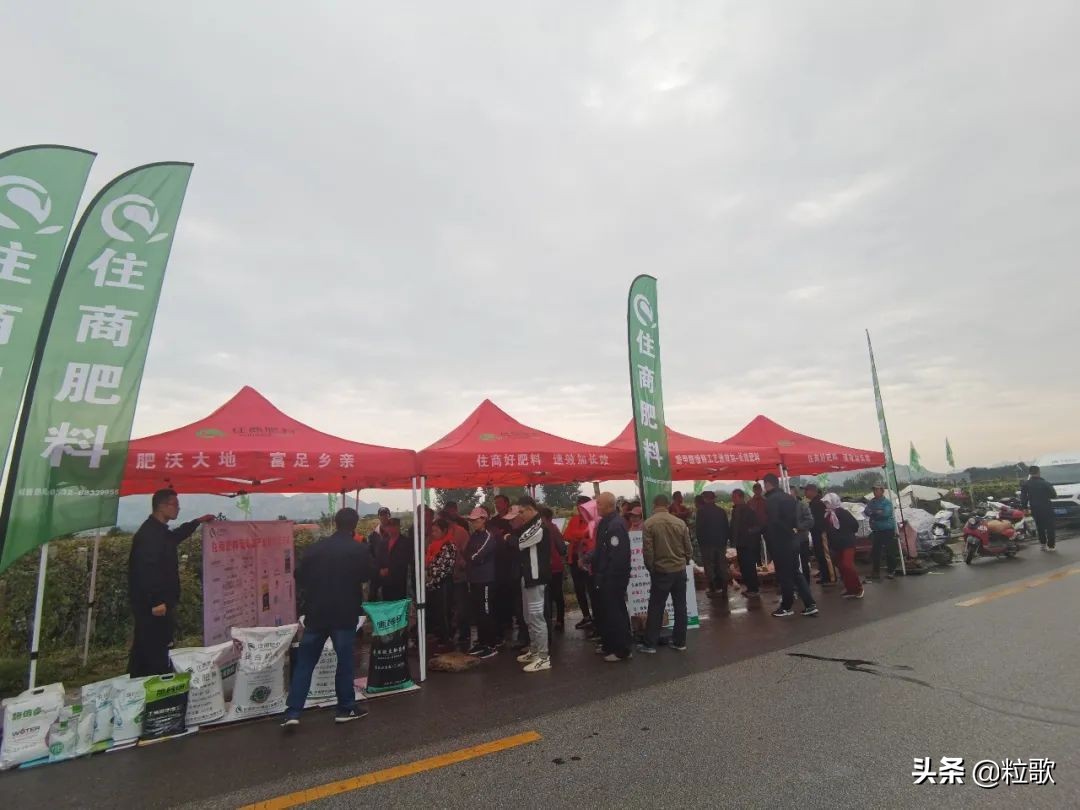 住商中农肥料怎么样,住商肥料助力精品农业