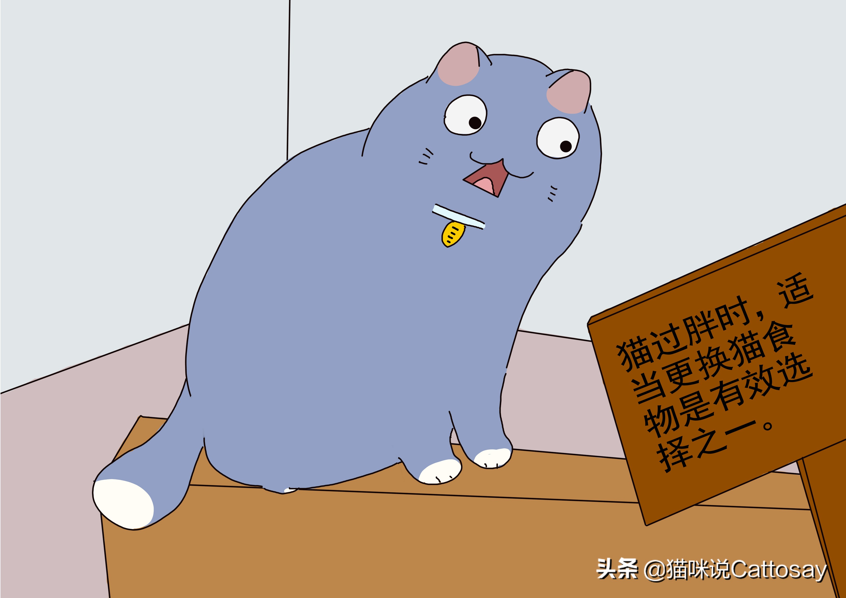 猫咪很瘦怎么办如何帮助猫咪减肥,猫太胖了怎么办该怎么给猫咪减肥