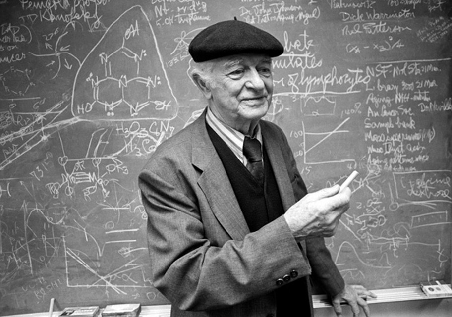 维生素c的一些新发现,关于维生素c的知识大全