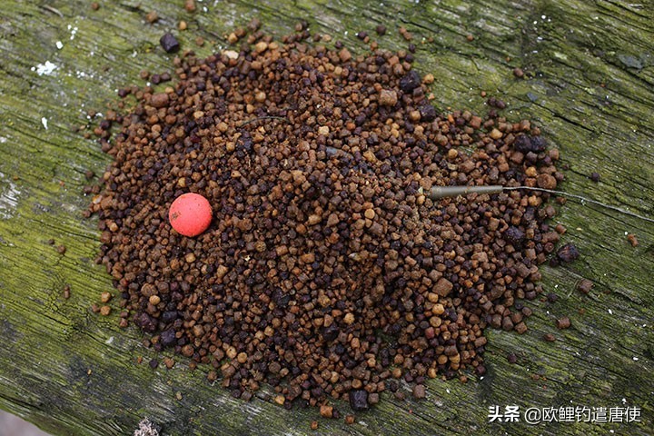 老外钓鱼打窝,老外打窝钓鱼视频大全