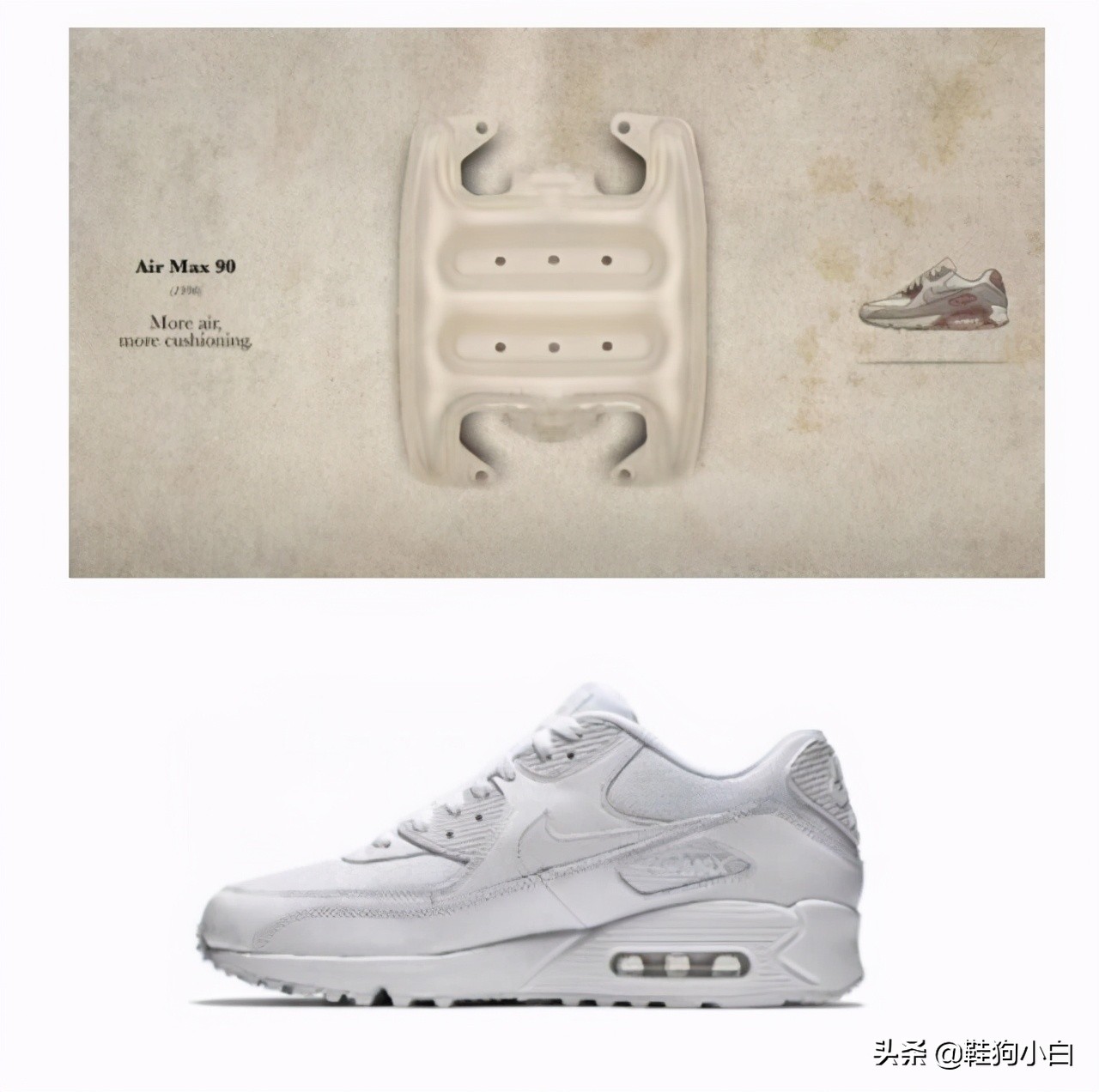 科普向未来知识内容,科普向未来的教学