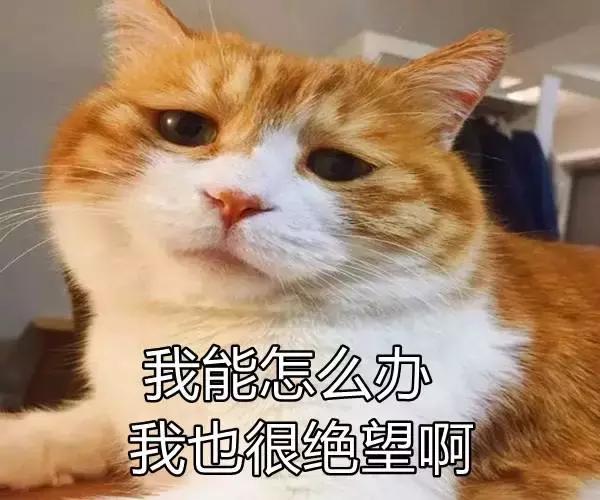 怎么决定胎宝宝的性别,决定宝宝性别的民间方法