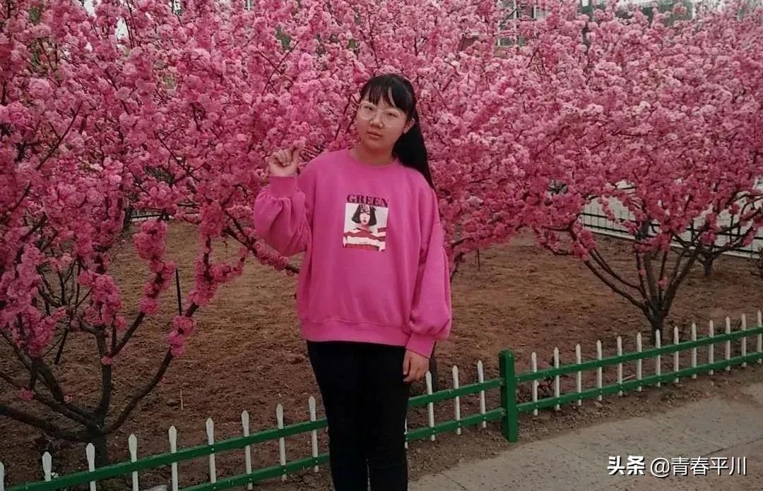 五四青年节征文活动,五四青年节主题征文800字10篇