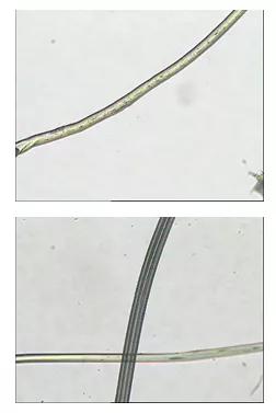 光滑柔软的聚酯纤维,聚酯纤维100%质地柔软