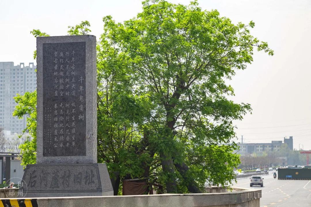 今天，带郑州的老铁们逛吃后河芦