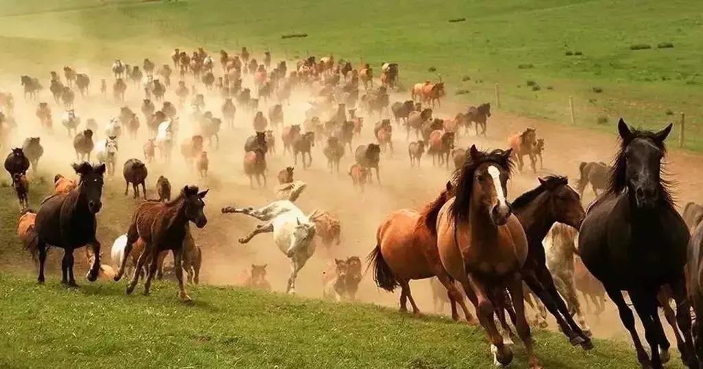 禤靐龘同学今天刷屏了,但更奇葩的名字还有一大箩筐