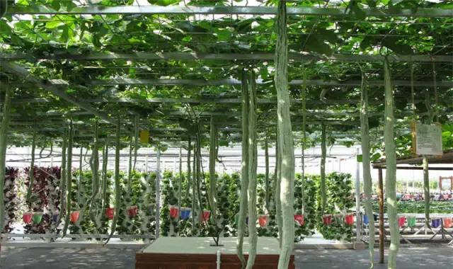 奉贤区南桥镇旅游景点,上海奉贤景点推荐一日游最佳路线