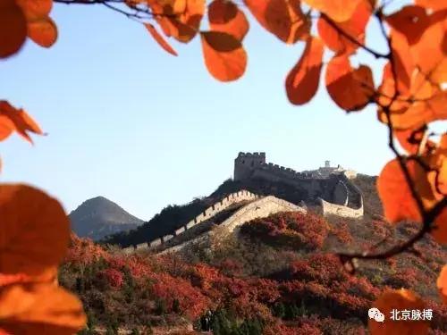 画说回龙观,北京最漂亮的森林公园