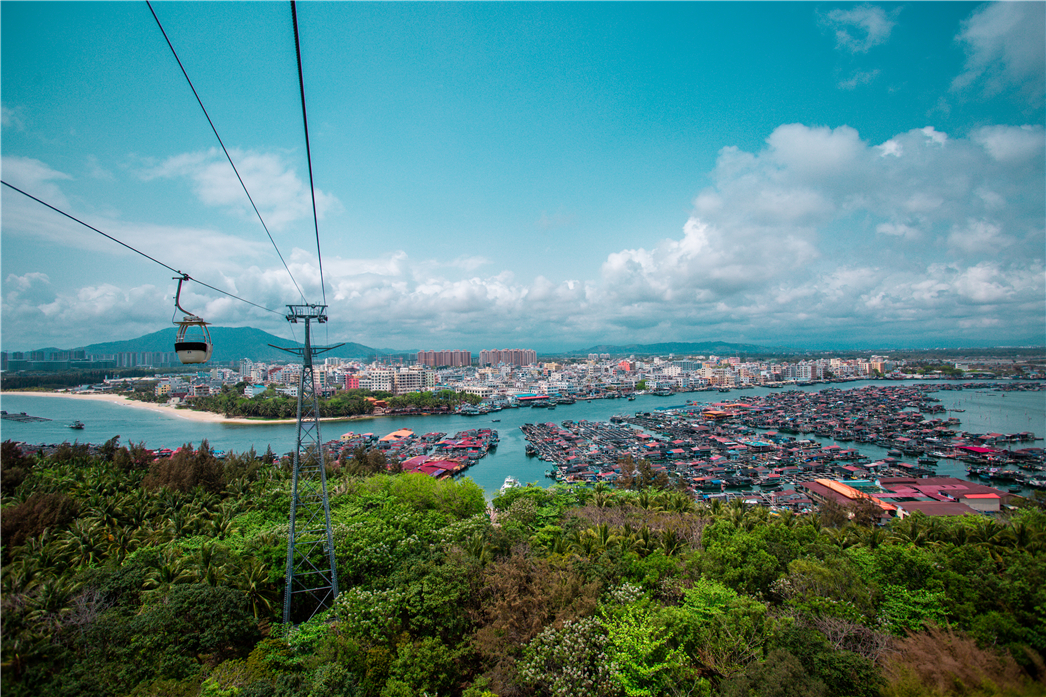海南必玩猴岛与呆呆丨看萌呆猕猴，呆呆岛发呆