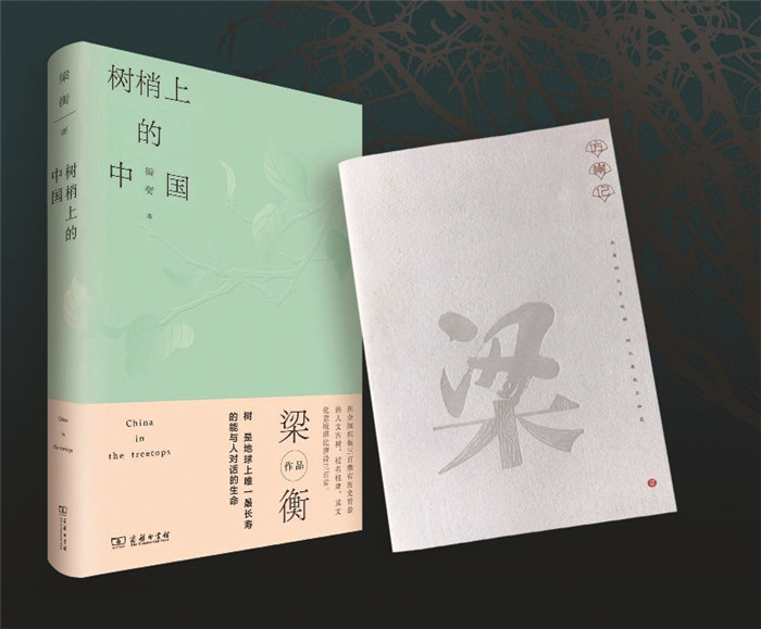 梁衡自传,十大美文梁衡