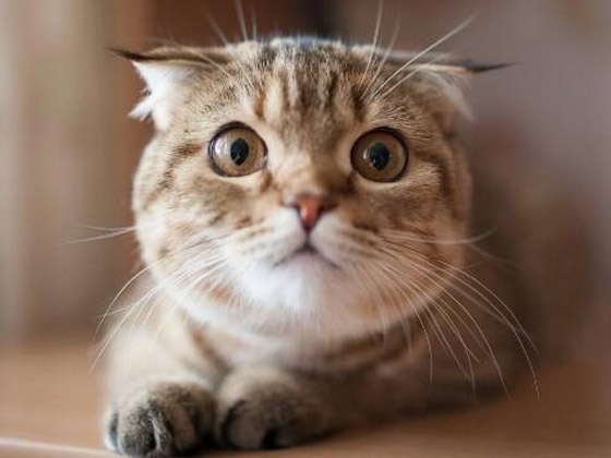 ui手机界面设计,零基础学习ui设计要搞清楚这几点