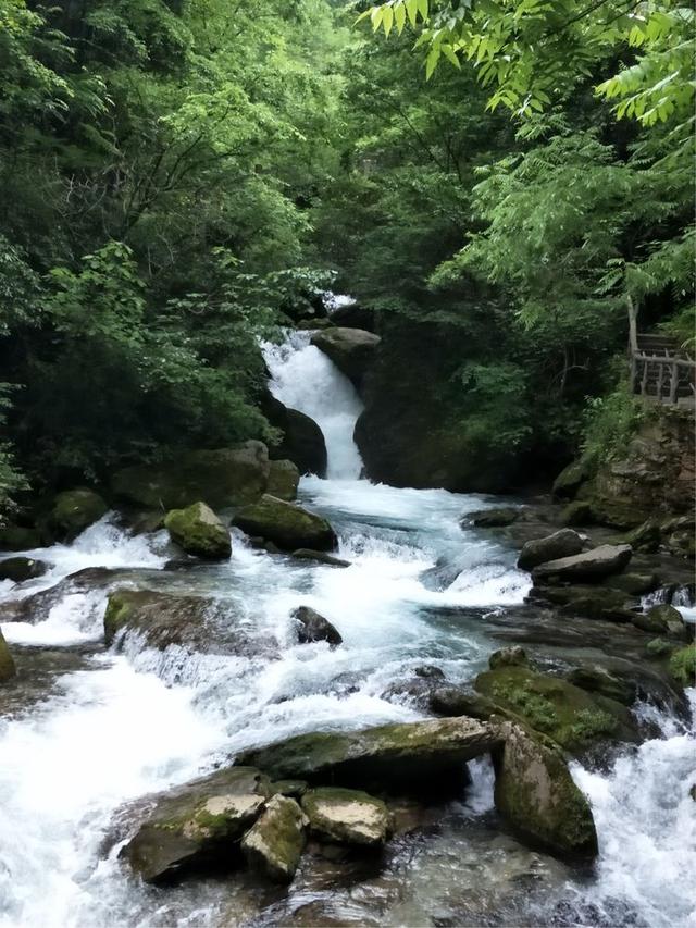 真实的神农架野人之谜,神农架最神秘传说