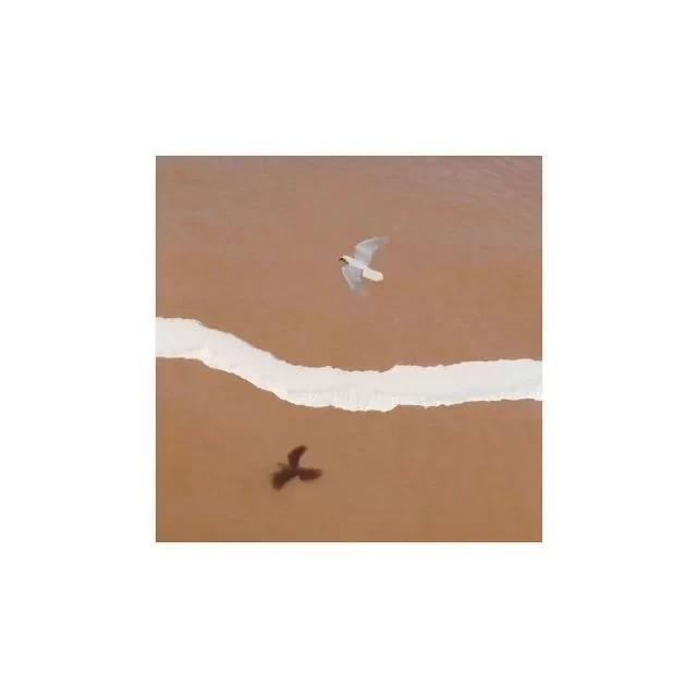 我们来了珠宝设计师,我们来了t台秀音乐