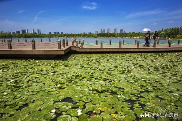 一座桥改造效果,一座桥怎么改造