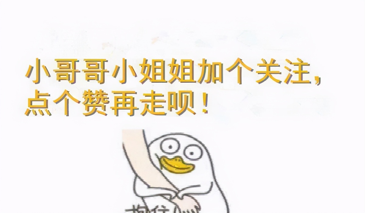 养什么猫可以带来好运,养什么猫会带来好运