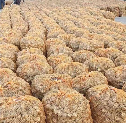 小项目赚钱,低成本创业项目小生意