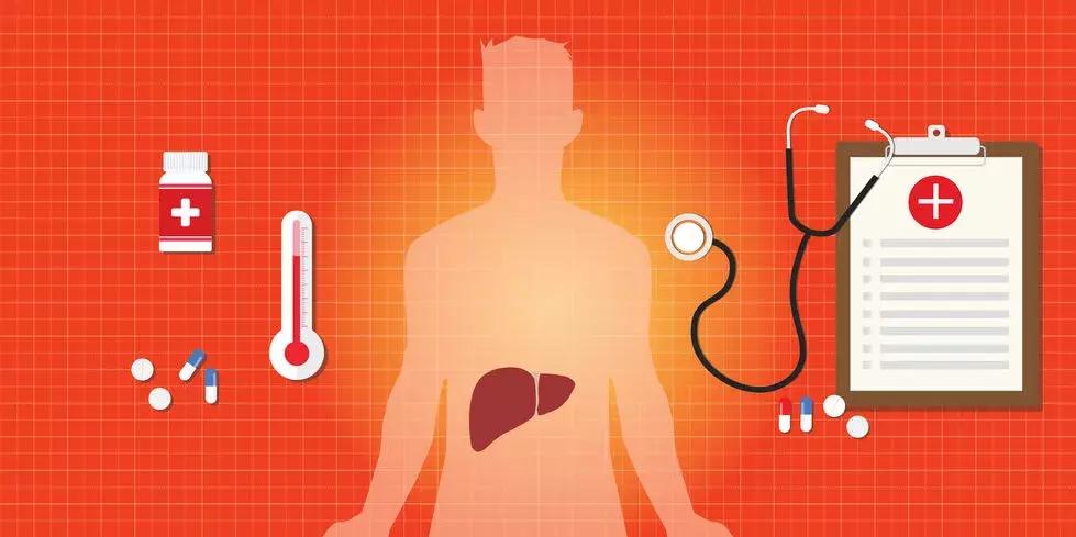 春季养肝的养生方案怎么写,春季如何养肝3个关键要记牢