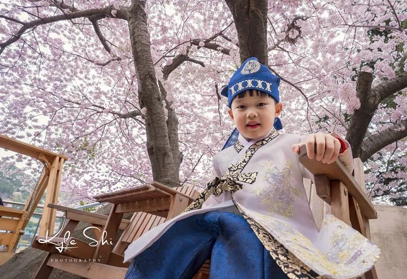 樱花季去京都怎么避免人太多,樱花季去日本旅行